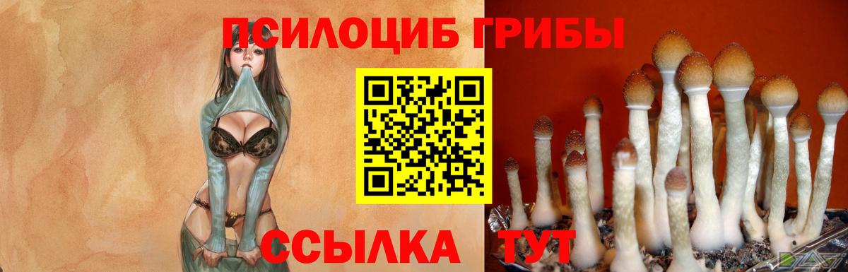 Псилоцибиновые грибы GOLDEN TEACHER  Вход с VPN  Лосино-Петровский 